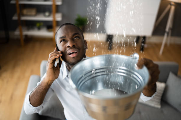 Best 24/7 water damage repair  in Portage, PA