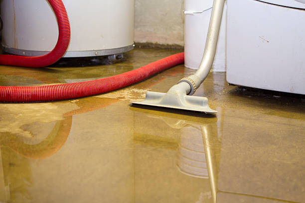 Best Water damage cleanup near me  in Portage, PA