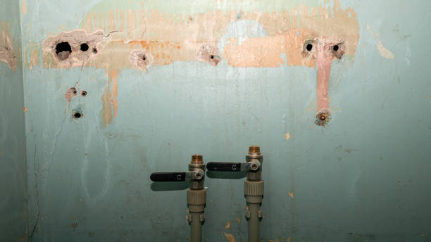 Best 24-hour water damage restoration  in Portage, PA