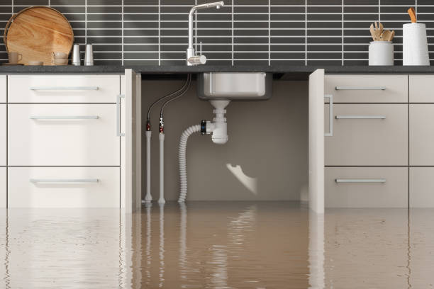 Best Professional water damage repair  in Portage, PA