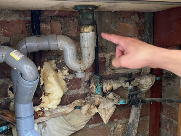 Best Basement water damage restoration  in Portage, PA
